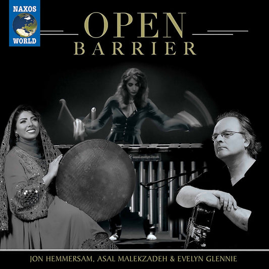 the album cover for Open Barrier / Various - Open Barrier