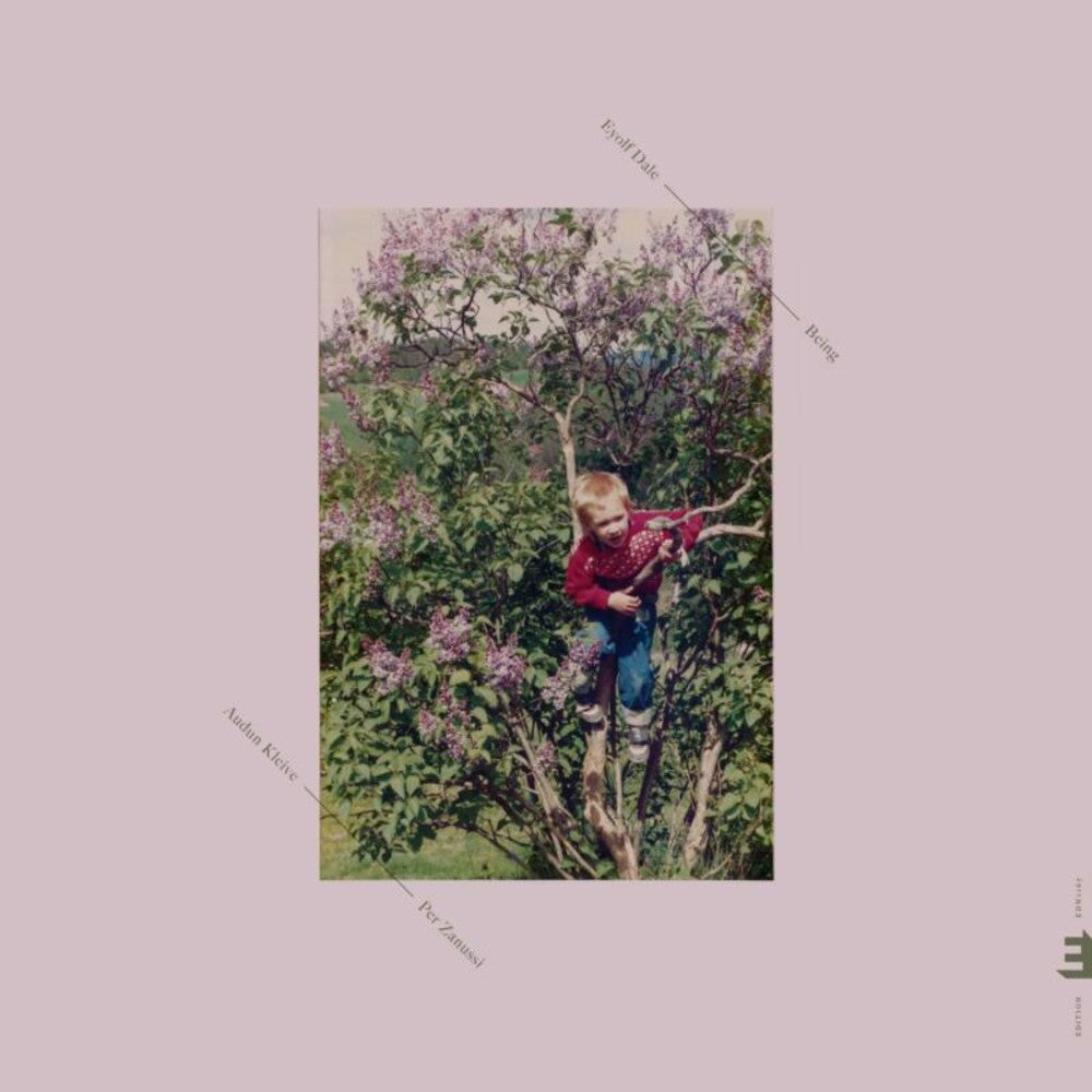 the album cover for Eyolf Dale - Being