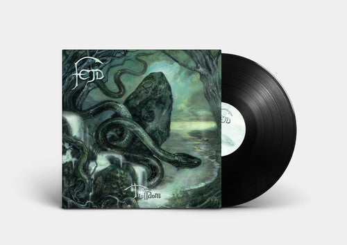 the album cover for Fejd - Trolldom