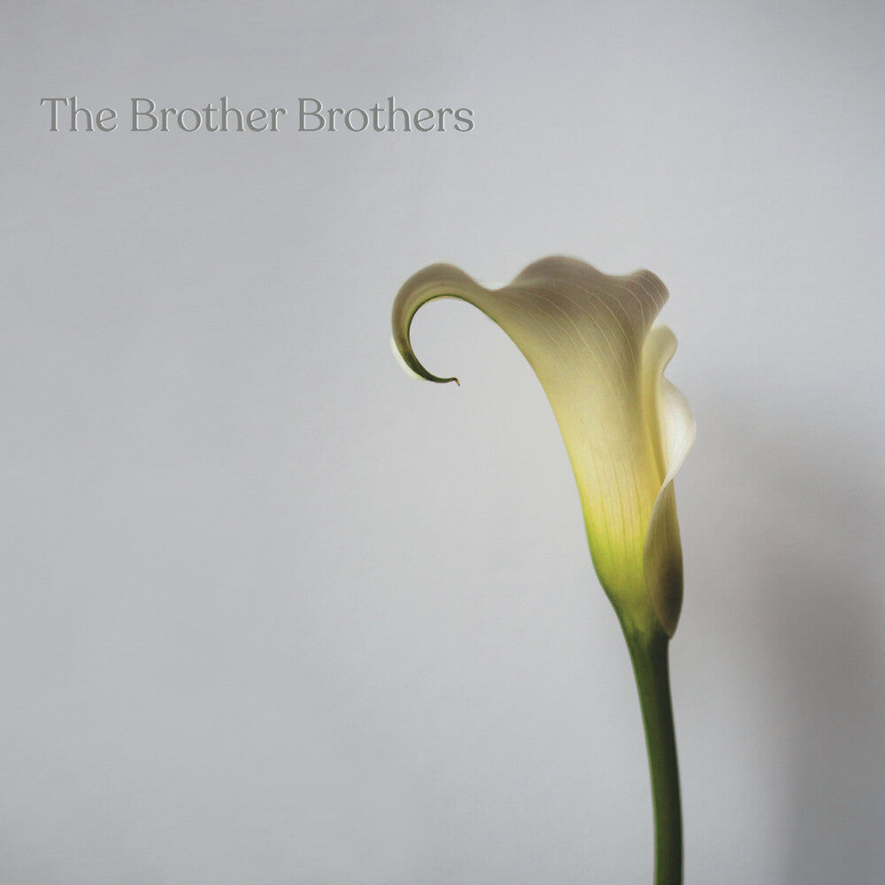 the album cover for The Brother Brothers - Calla Lily