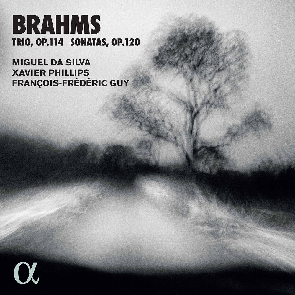 the album cover for Brahms / Silva / Guy - Trio 114 / Sonatas