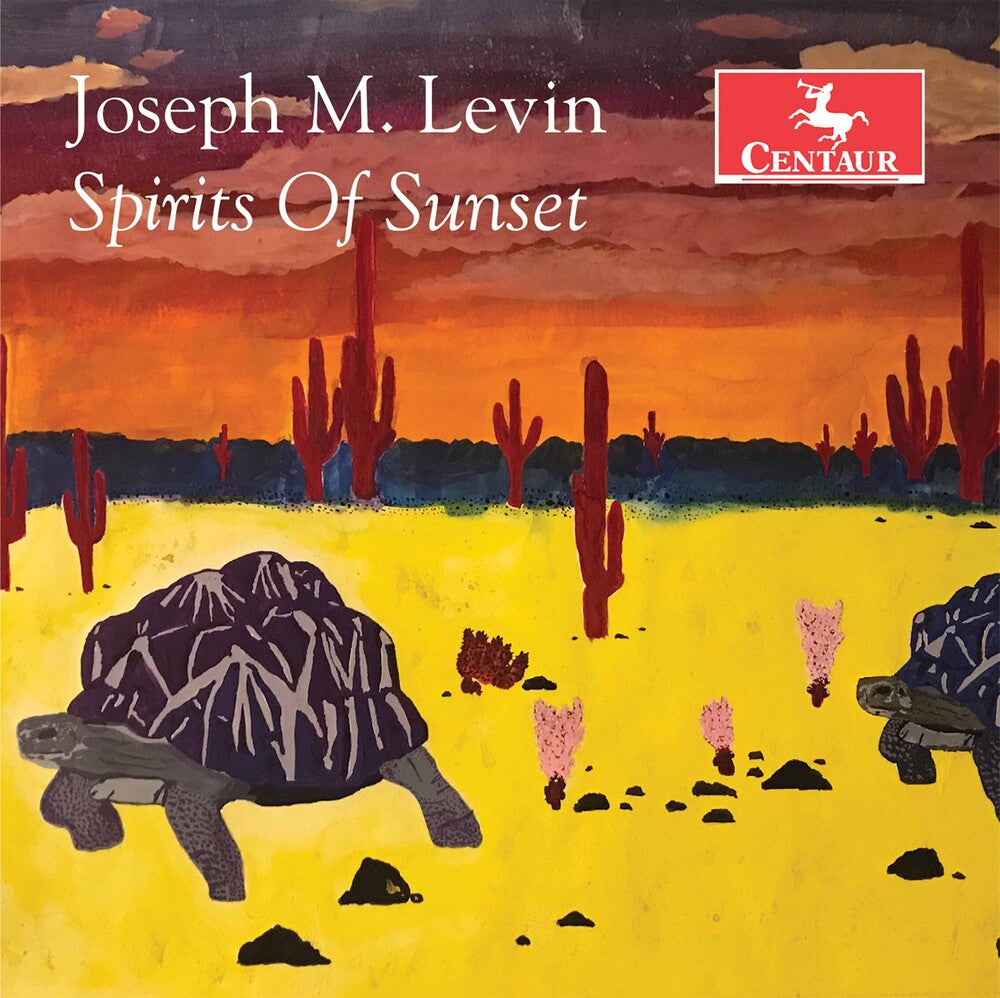 the album cover for Levin - Spirits of Sunset