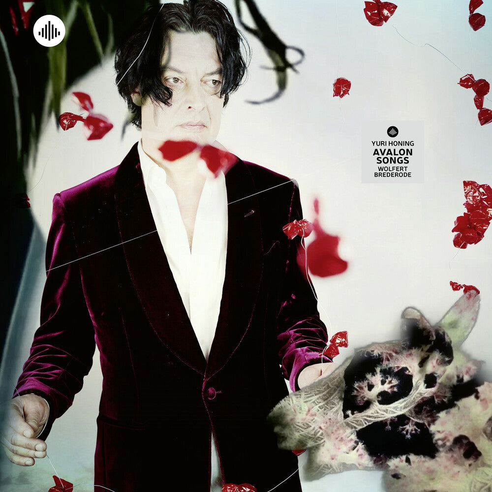 the album cover for Avalon Songs / Various - Avalon Songs