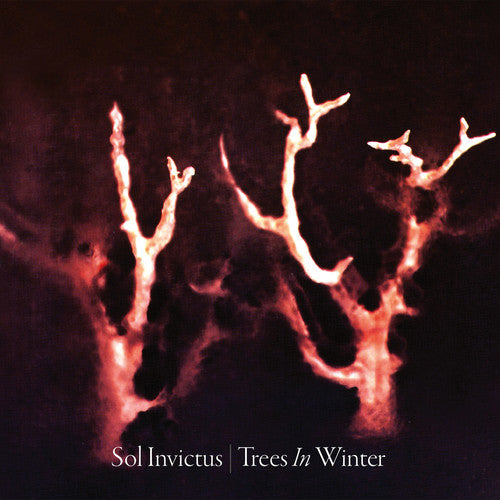 the album cover for Sol Invictus - Trees In Winter [Digipak]