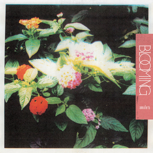 Amulets - Blooming [LP]