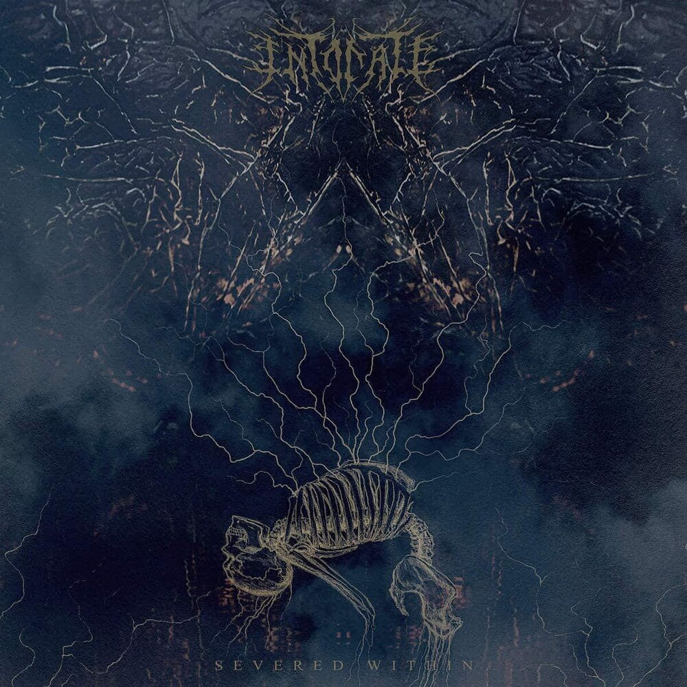 the album cover for Intonate - Severed Within [Colored Vinyl]