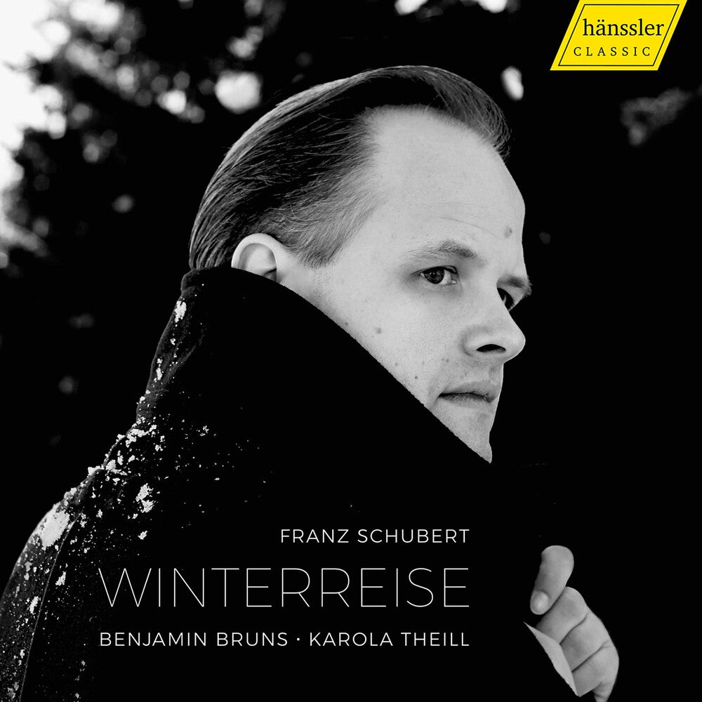 the album cover for Schubert / Bruns / Theill - Winterreise