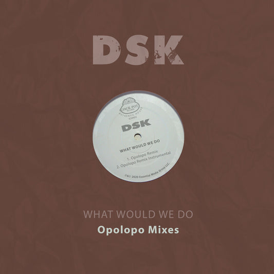 the album cover for DSK - What Would We Do - Opolopo Mixes (Mod)