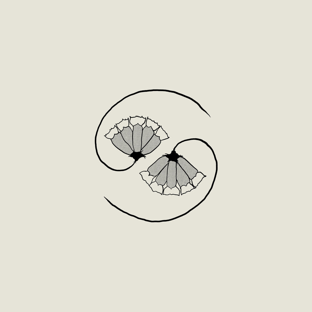 Godspeed You! Black Emperor - G_D's Pee At State's End! [180 gram LP + 10in]