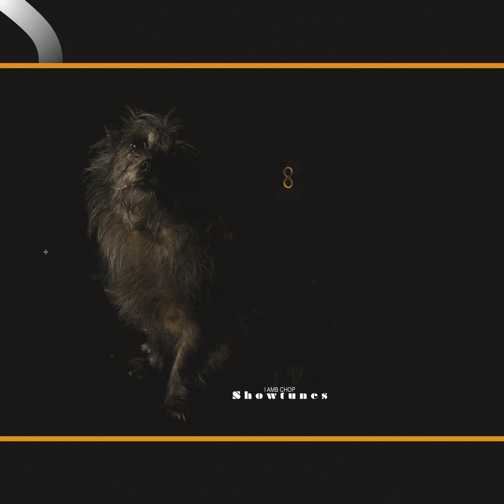 the album cover for Lambchop - Showtunes [LP]