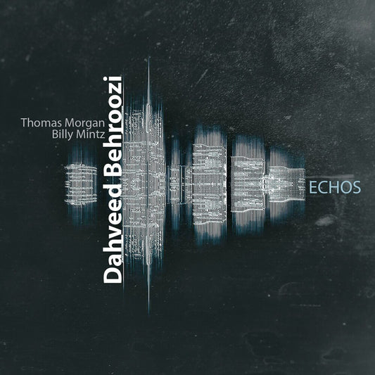 the album cover for Dahveed Behroozi - Echos