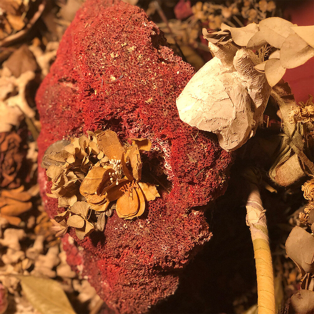 the album cover for Sylph - Silver As It Was Before