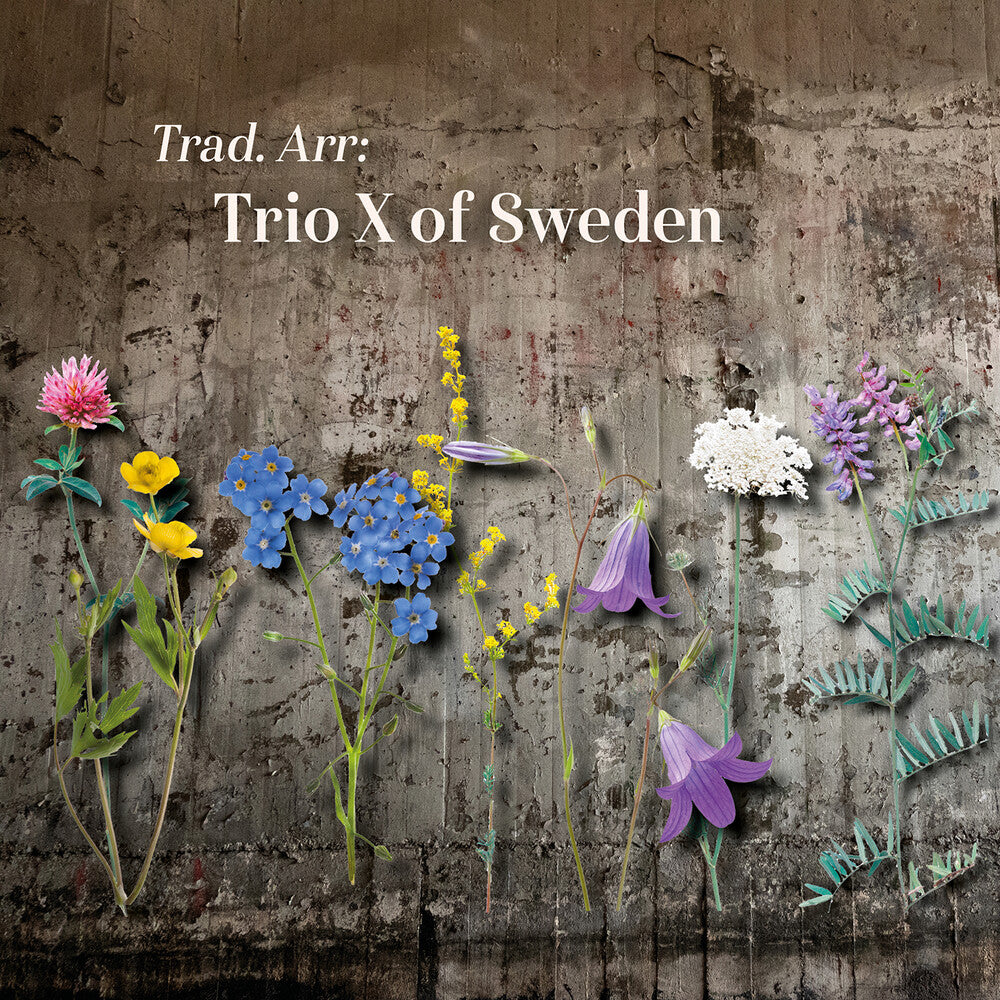 the album cover for Trad Arr / Various - Trad Arr