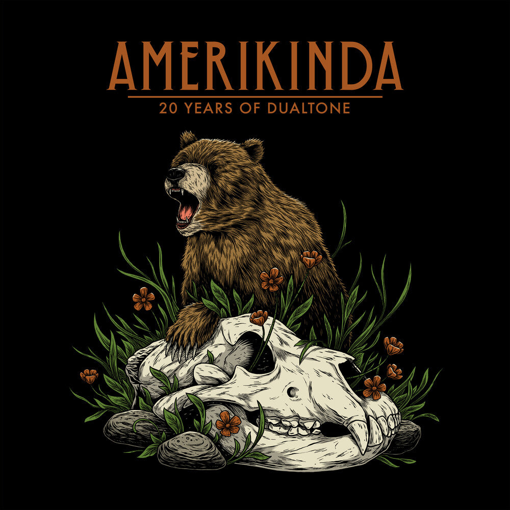 the album cover for Various Artists - Amerikinda: 20 Years Of Dualtone