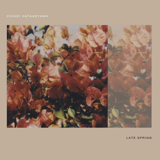 the album cover for Chihei Hatakeyama - Late Spring