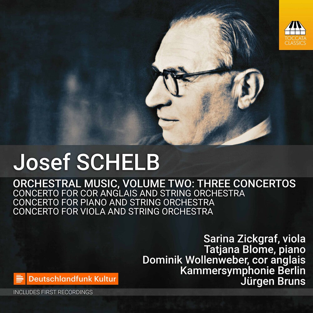 the album cover for Schelb / Blome / Bruns - Orchestral Music 2