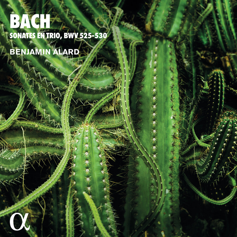 the album cover for Bach, J.S. / Alard - Trio Sonatas for Organ