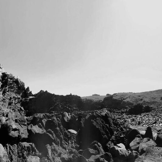 the album cover for Six Organs Of Admittance - Veiled Sea