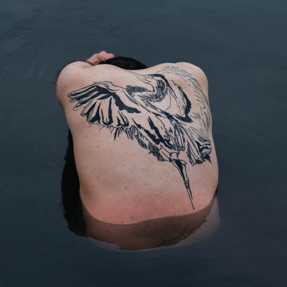 the album cover for Jodi - Blue Heron