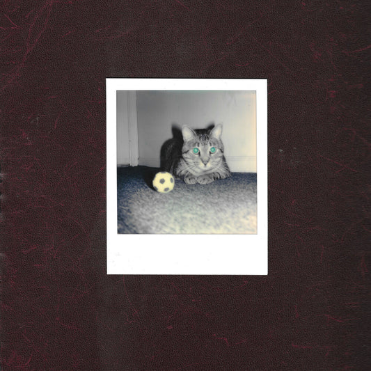 the album cover for Goalie's Anxiety At The Penalty Kick - Ways Of Hearing