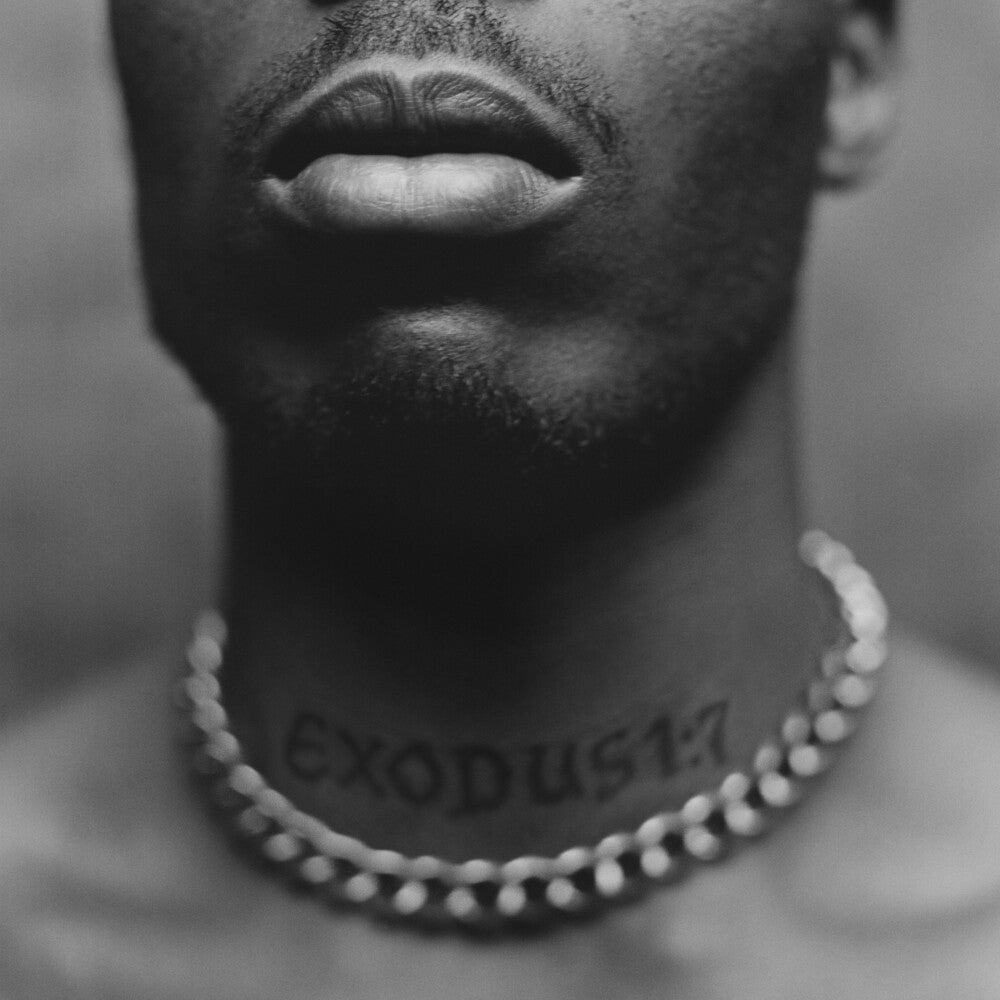 the album cover for DMX - Exodus