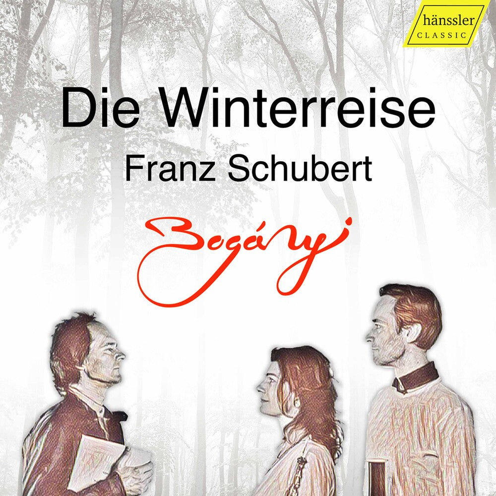 the album cover for Schubert / Dent-Boganyi - Die Winterreise 89