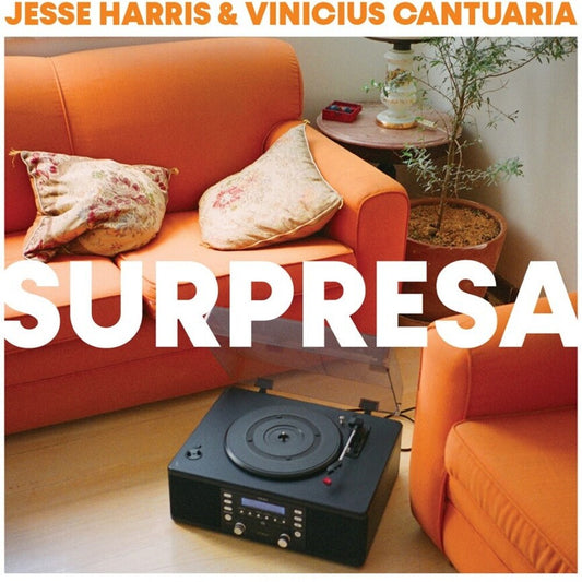 the album cover for Jesse Harris  / Cantuaria,Vinicius - Surpresa