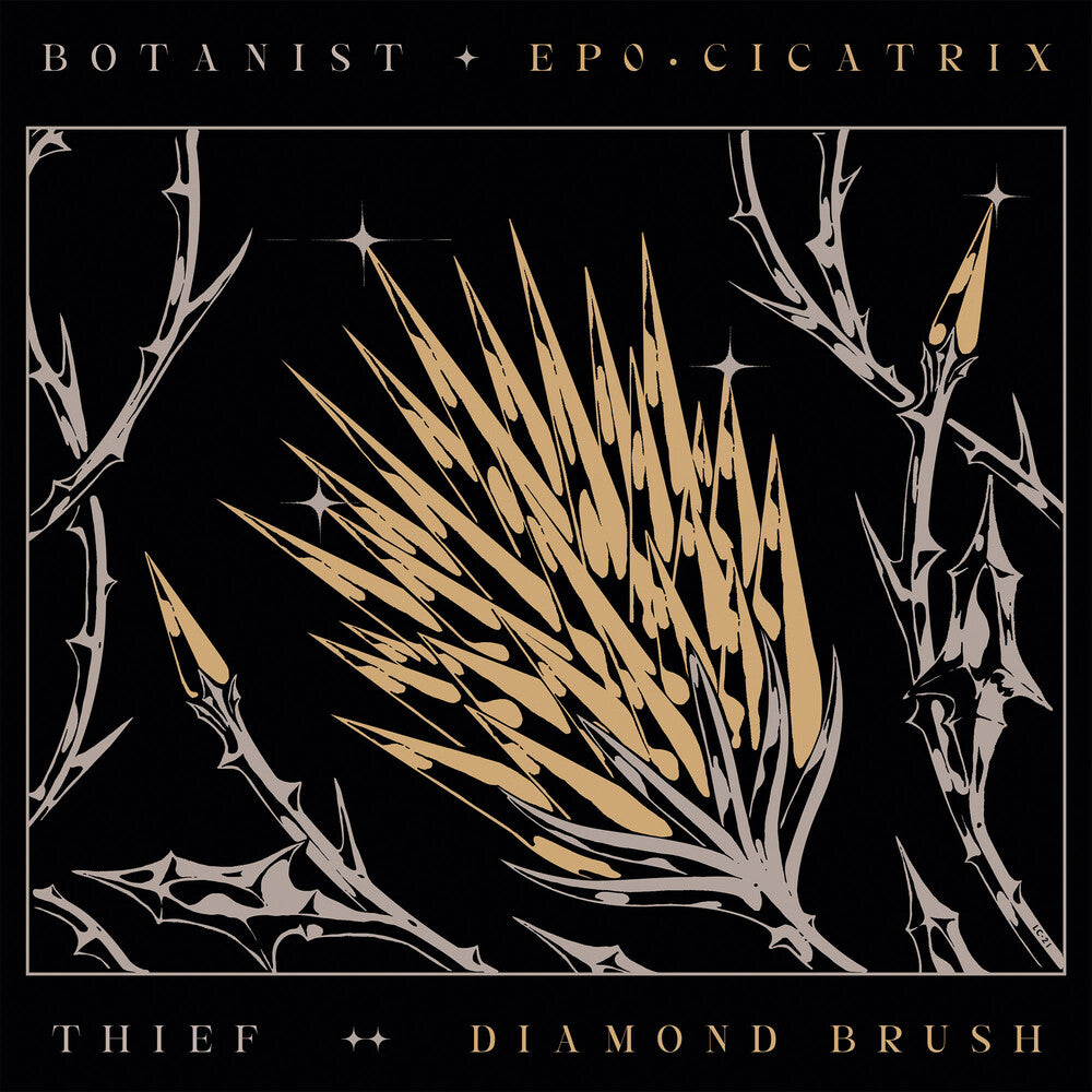 the album cover for Botanist / Thief - Cicatrix / Diamond Brush [Digipak]