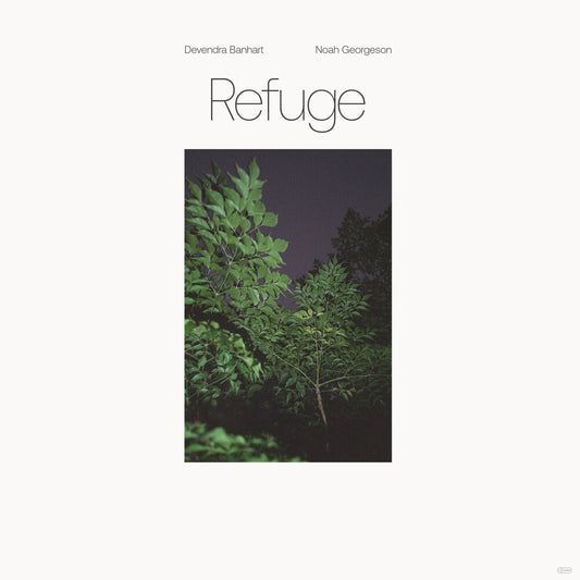 the album cover for Devendra Banhart & Noah Georgeson - Refuge [Blue Seaglass Wave Translucent LP]