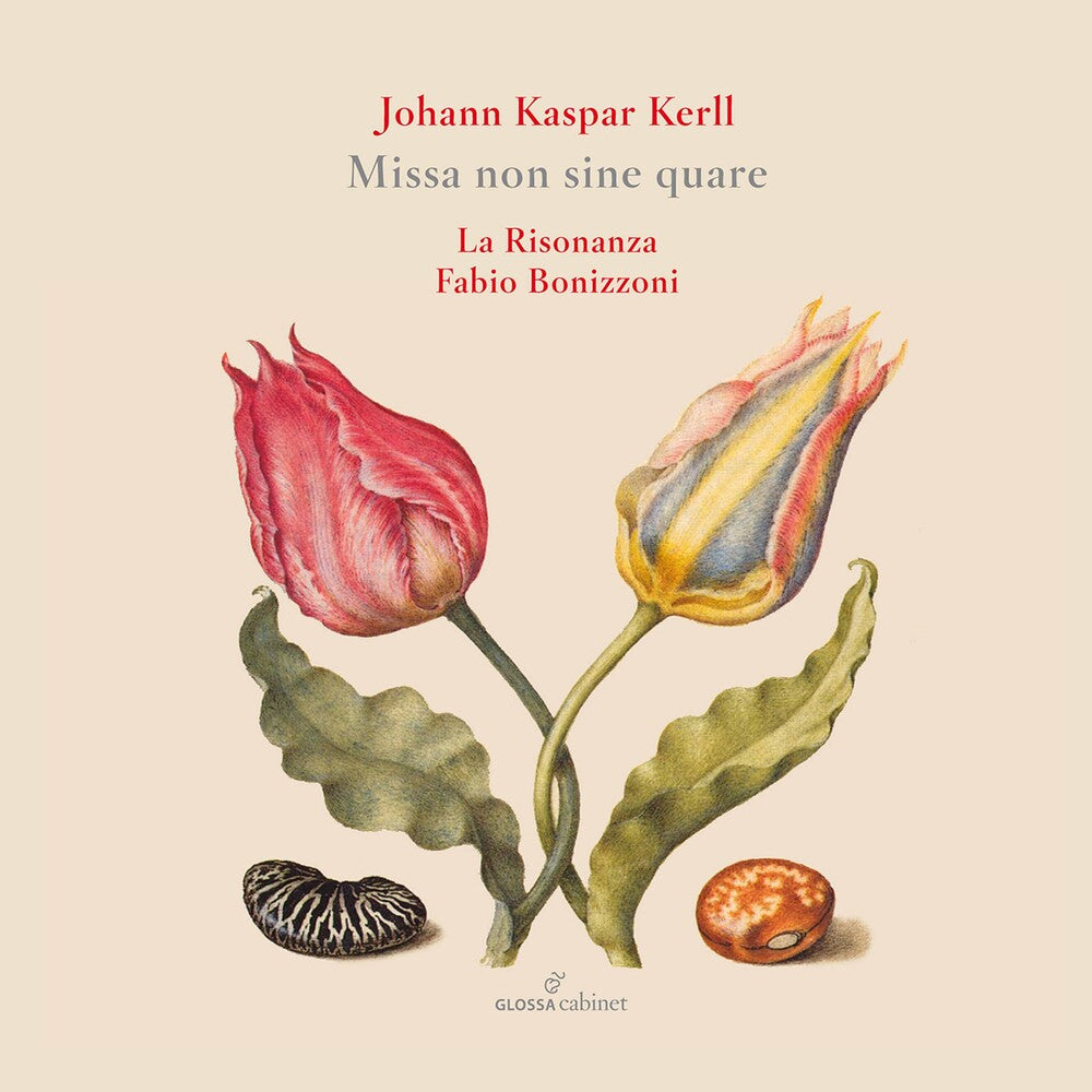 the album cover for Kerll / Risonanza / Bonizzoni - Missa Non Sine Quare