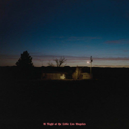 Kevin Morby - Night At The Little Los Angeles (4-Track Version [LP]