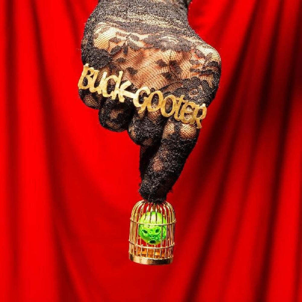 the album cover for Buck Gooter - Head In A Bird Cage [Download Included]