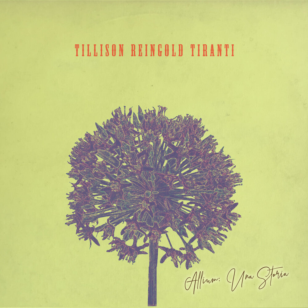 the album cover for Tillison Reingold Tiranti - Allium Una Storia