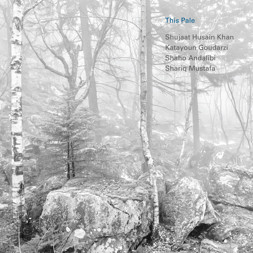 the album cover for Shujaat Husain Khan &amp; Katayoun Goudarzi - This Pale
