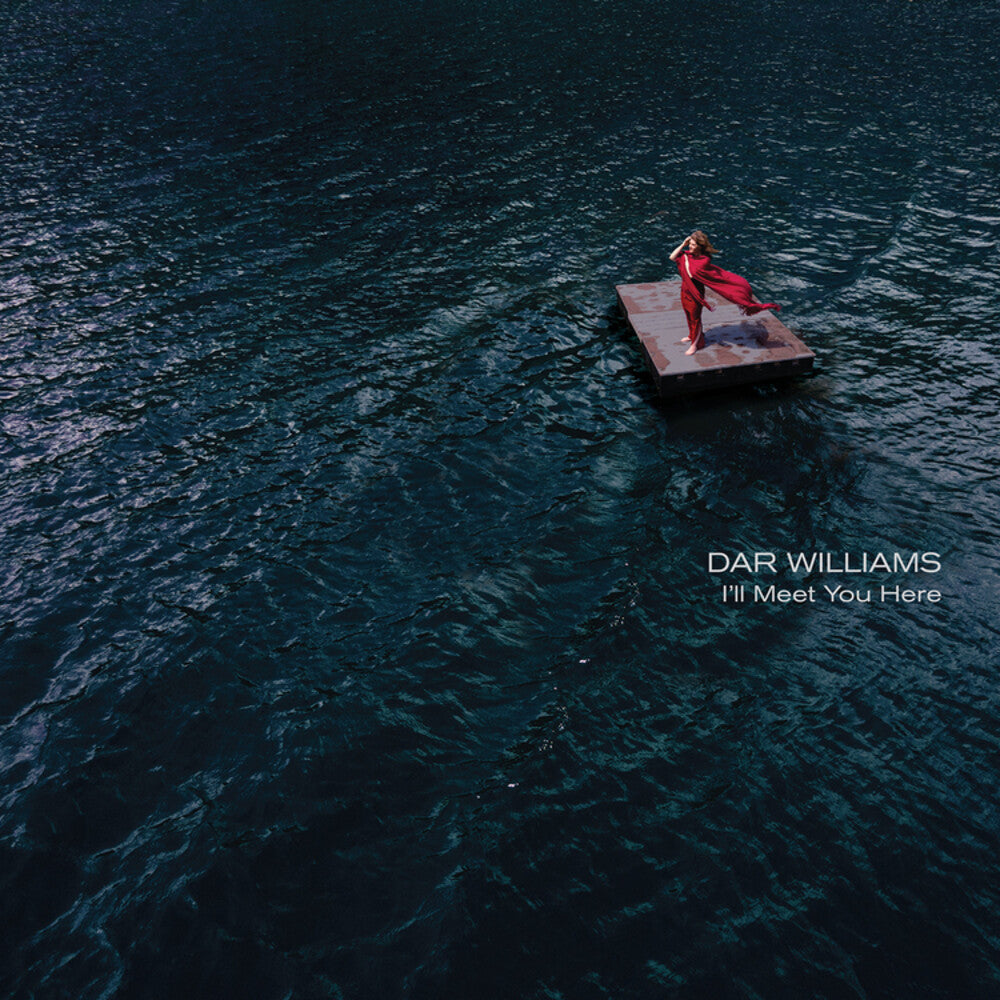 Dar Williams - I'll Meet You Here [CD]