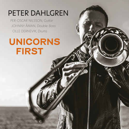the album cover for Unicorns First / Various - Unicorns First / Various