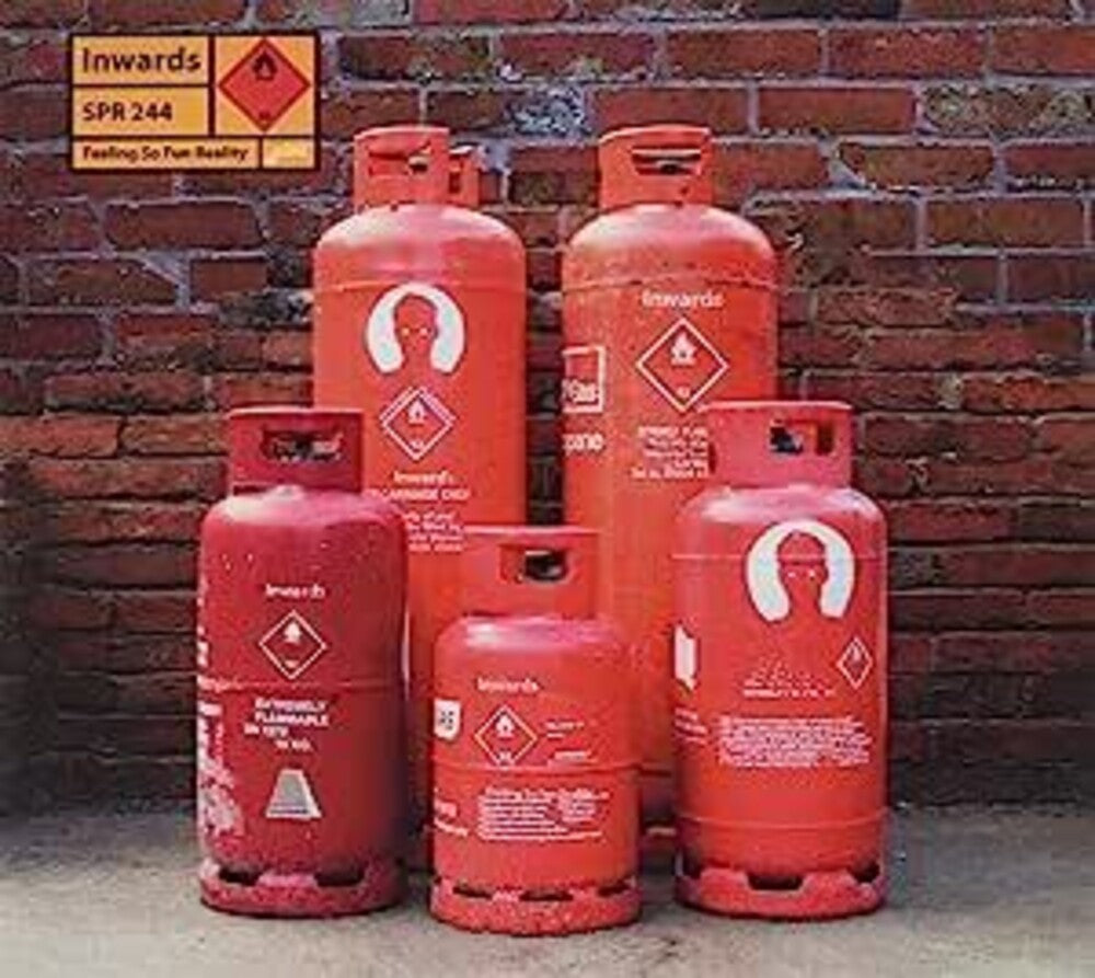 the album cover for Inwards - Feeling So Fun Reality (Uk)