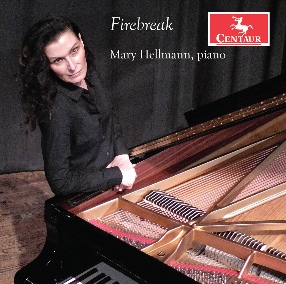 the album cover for Beethoven / Hellmann - Firebreak