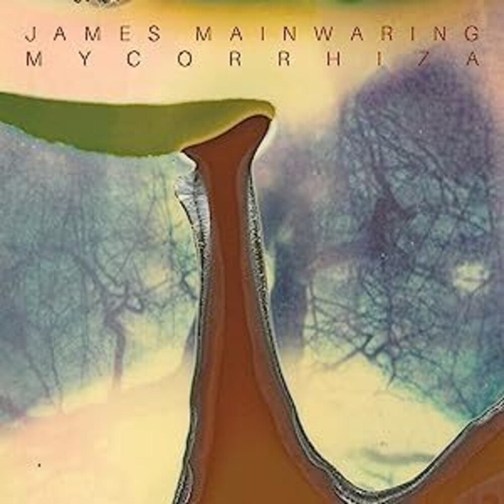 the album cover for Mainwaring, James - Mycorrhiza
