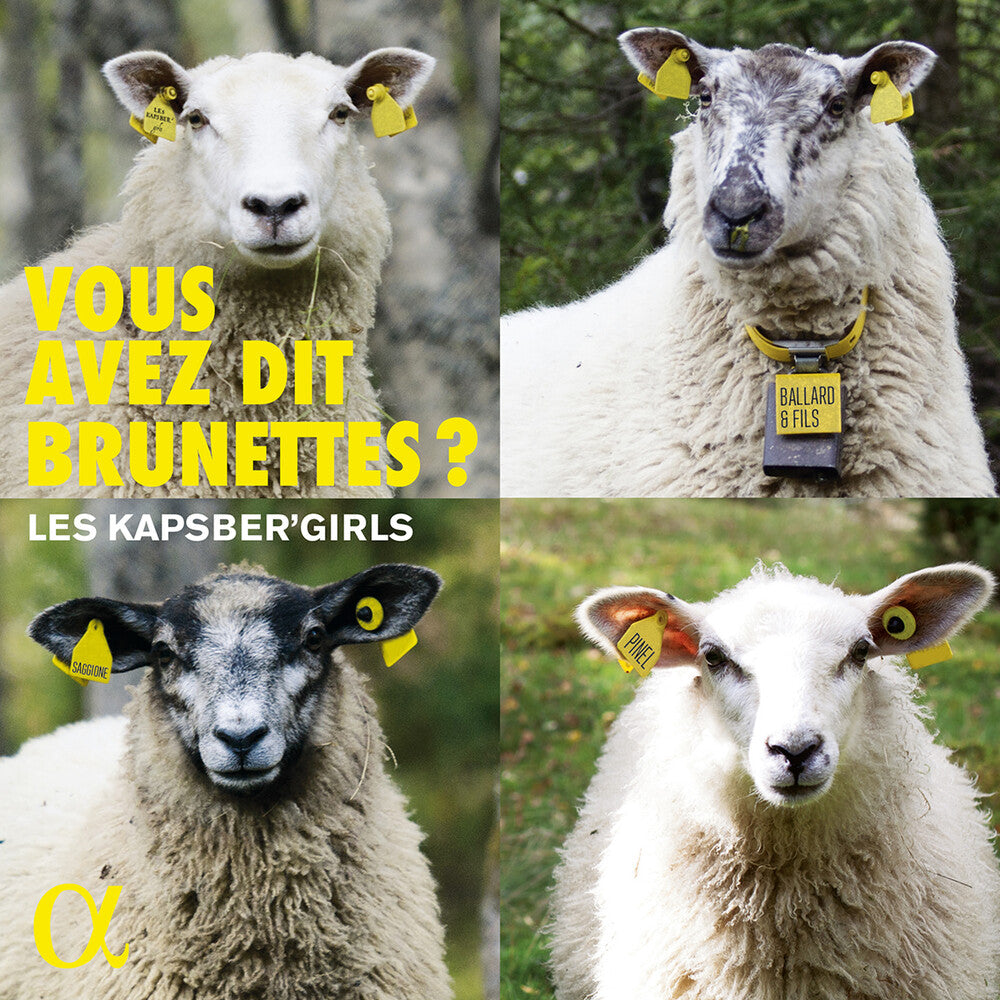 the album cover for Vous Avez Dit Brunettes / Various - Vous Avez Dit Brunettes / Various
