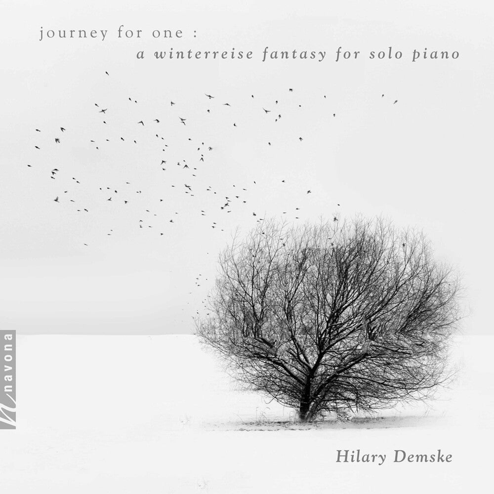the album cover for Schubert / Demske - Journey For One