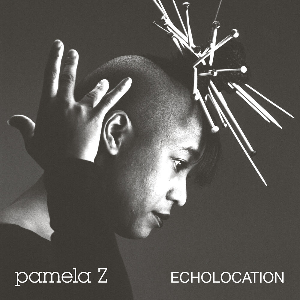 the album cover for Pamela Z - Echolocation (Natural Swirl Vinyl) [Colored Vinyl]