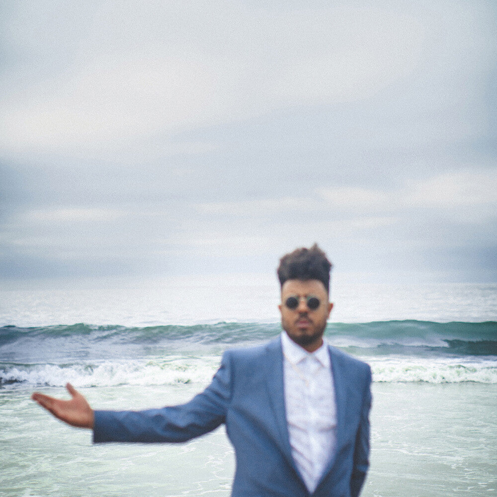 the album cover for Blu - The Color Blu(e) [LP]