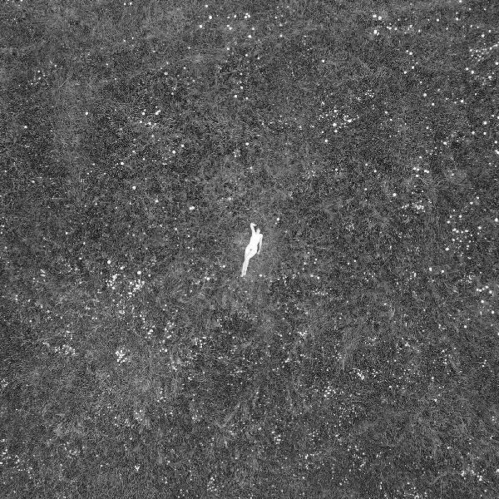 Birds Of Passage - Last Garden [Clear Vinyl] [180 Gram] [Indie Exclusive] [Download Included]