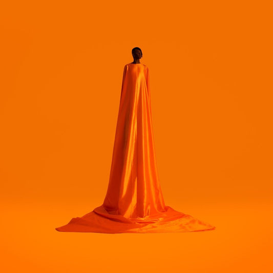 the album cover for Wayne Snow - Figurine (Uk)