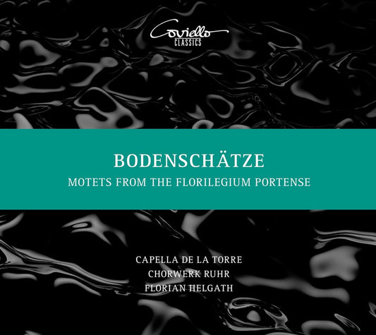 the album cover for Bodenschatze / Various - Bodenschatze / Various