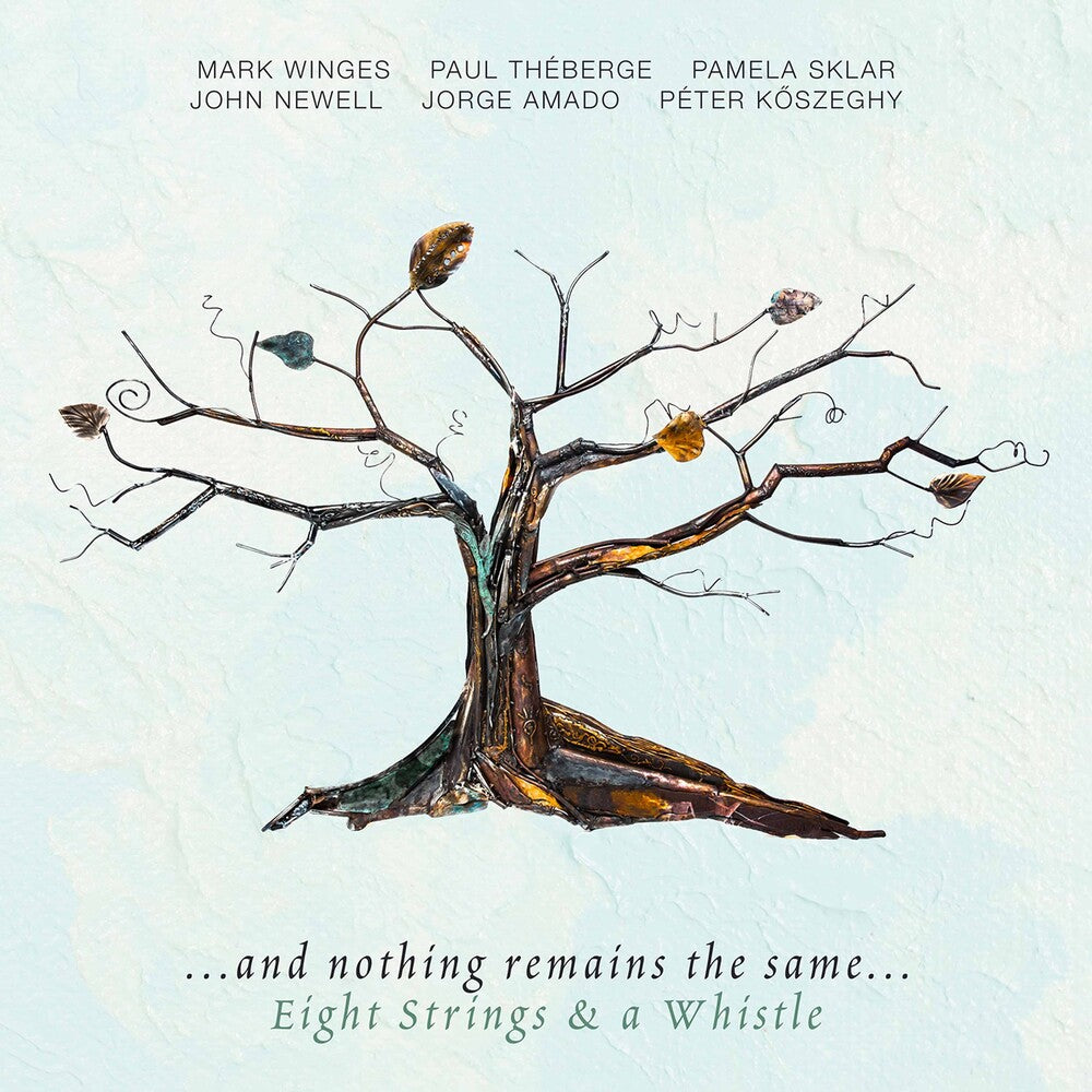 the album cover for Various Artists - & Nothing Remains the Same