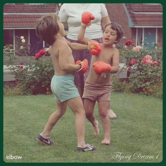 Elbow - Flying Dream 1 [Black LP]