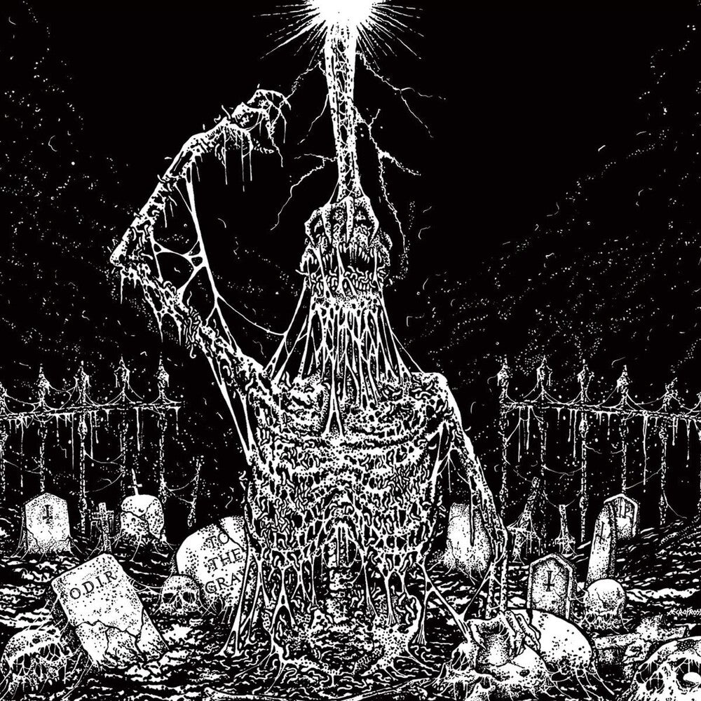 the album cover for Infesticide / In Obscurity Revealed - Split (Uk)