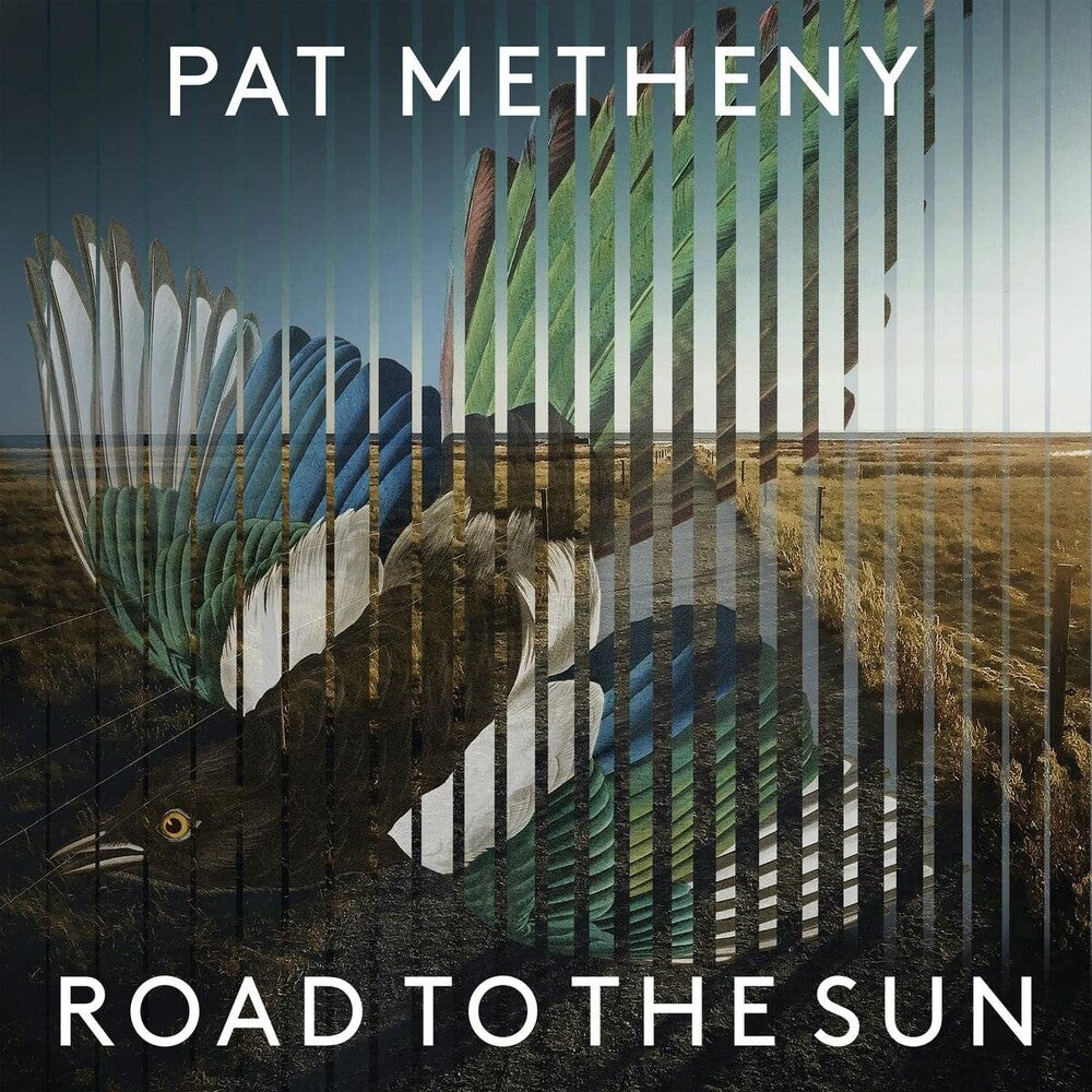 the album cover for Pat Metheny - Road To The Sun [Limited Edition]